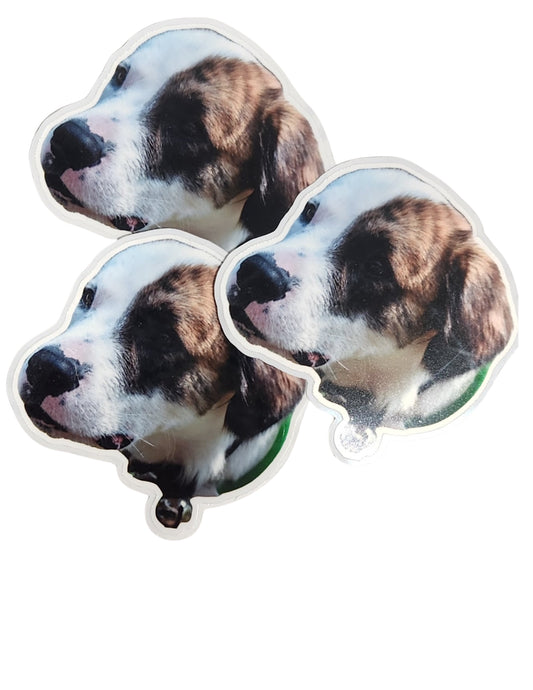 Custom 2x2 inch Photo STICKERS