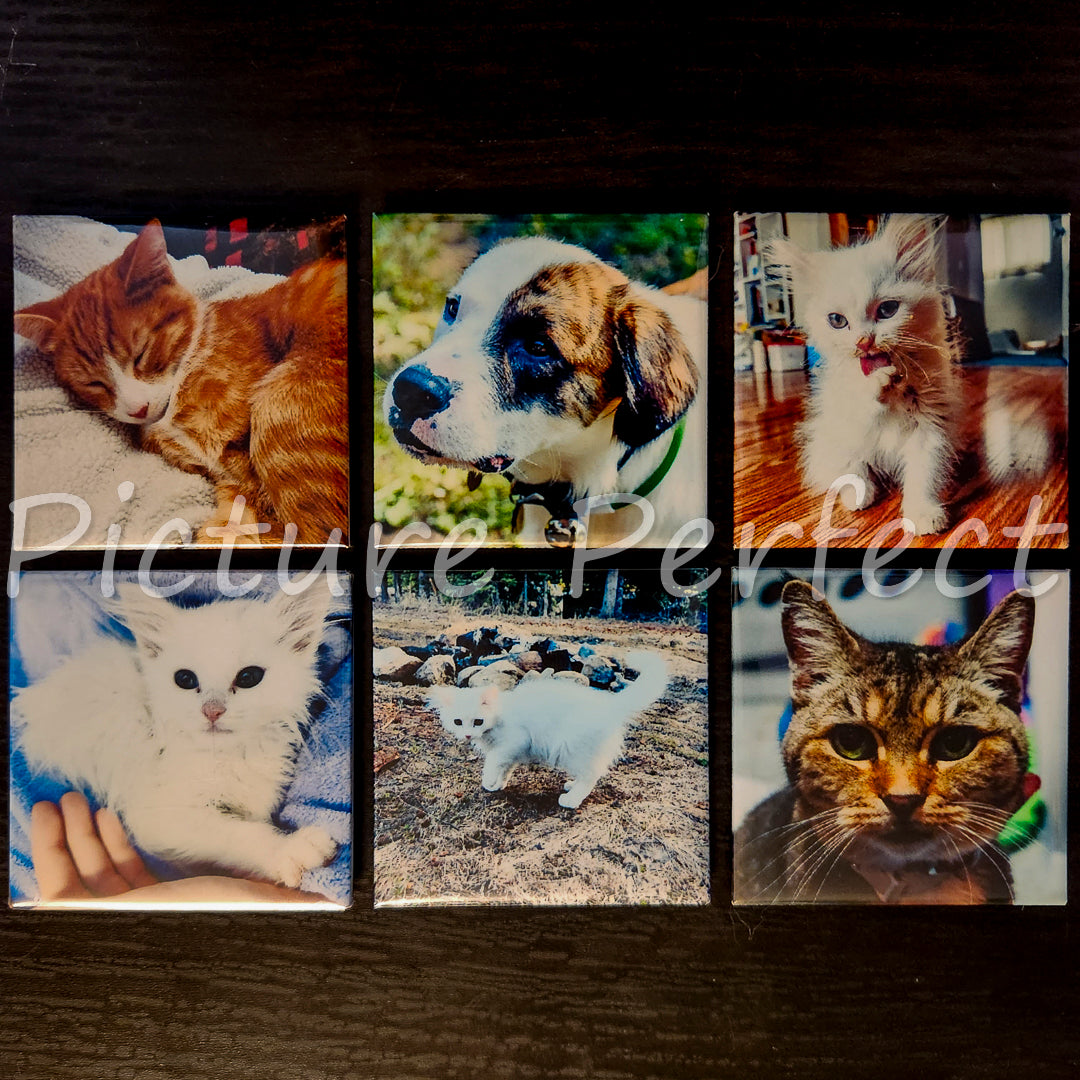 2x2 custom Photo Magnets