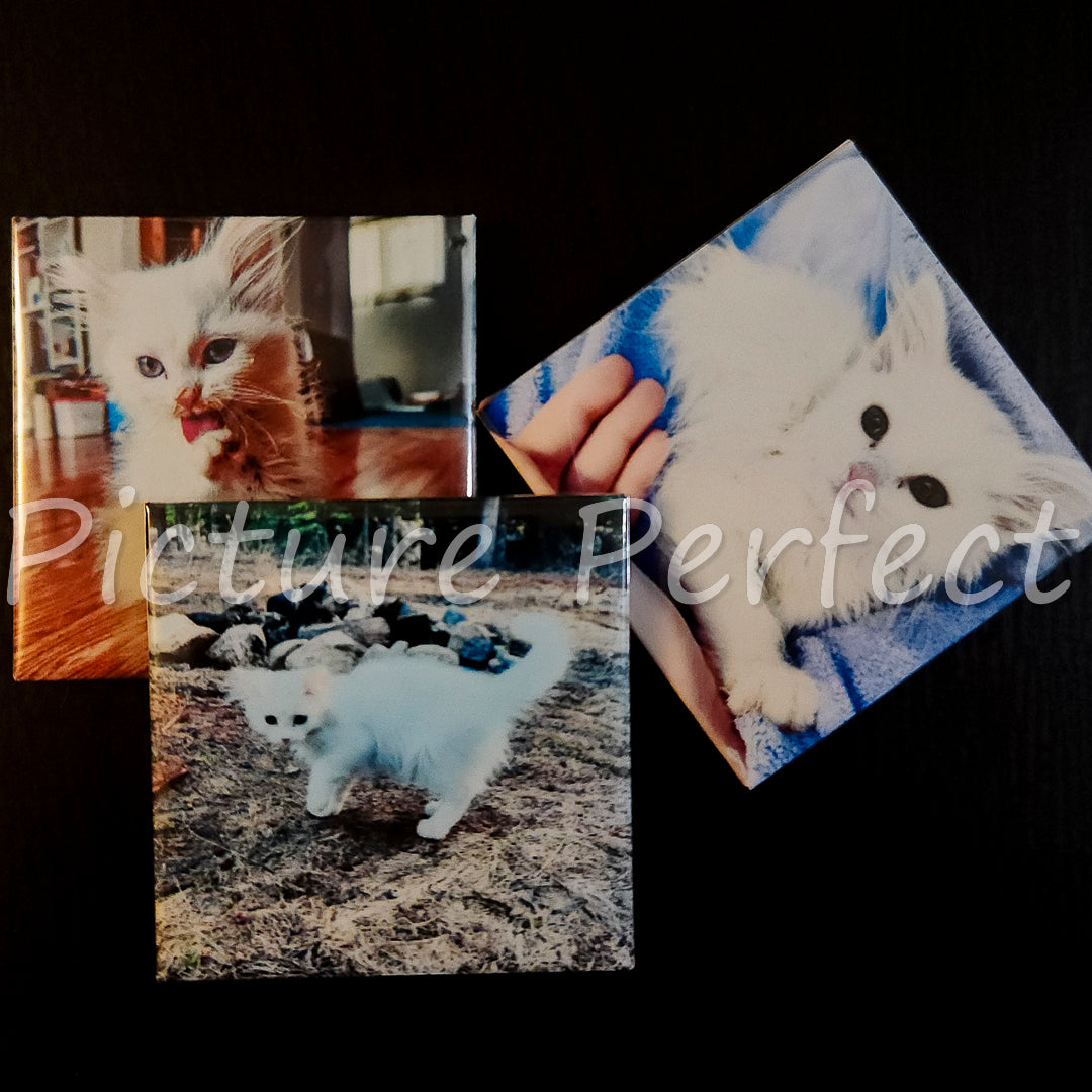 2x2 custom Photo Magnets